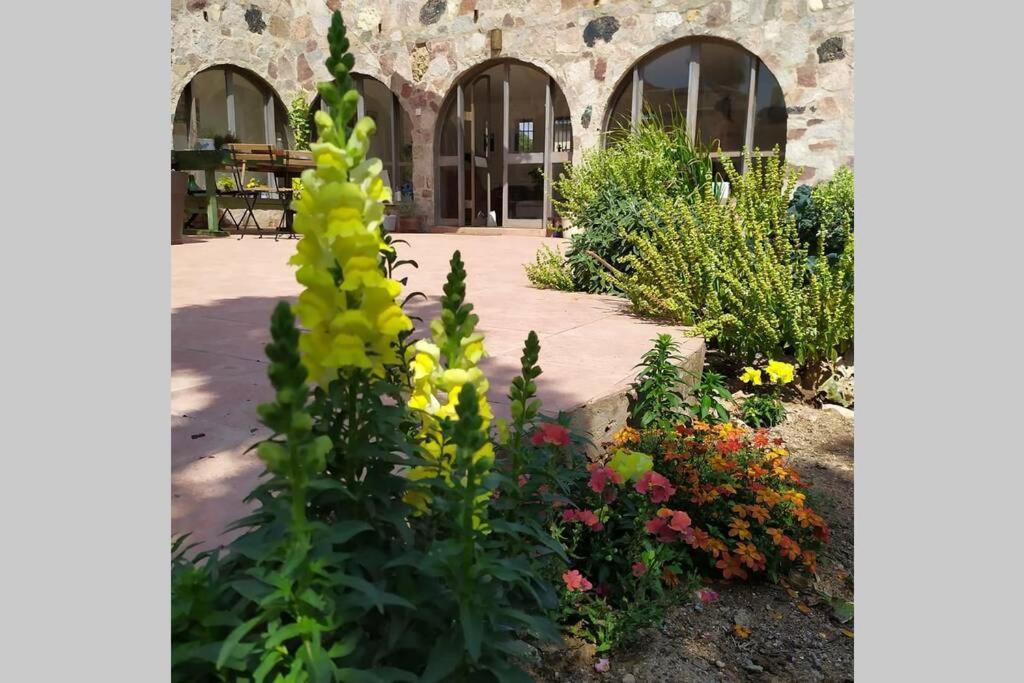 Stone - Patio אבן - פטיו Eilat