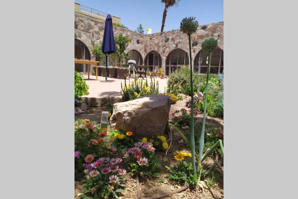 Stone - Patio אבן - פטיו Apartment