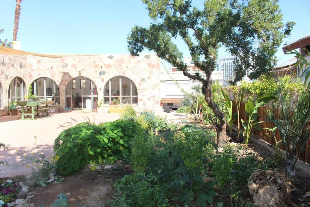 Apartment Stone - Patio אבן - פטיו *