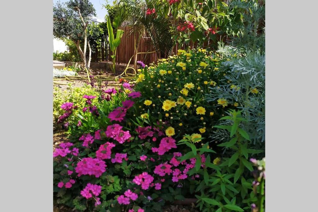 Apartment Stone - Patio אבן - פטיו